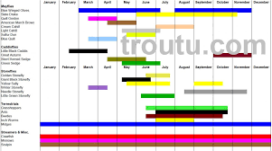 Insect Hatch Chart Uk Best Image Home In The Word