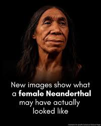 Neanderthal facial reconstruction reveals weathered face