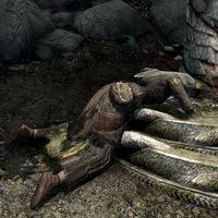 A horker, some twine, three wood elves, and a hatchet? Skyrim Wood Elf Dead The Unofficial Elder Scrolls Pages Uesp