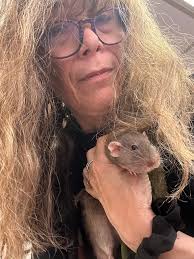 RIP Baby Blue, junkyard find for A/C parts