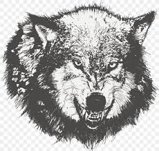 What i am looking for are the directions of the hair in each area and the darkness. Dog Drawing Black Wolf Sketch Png 1427x1355px Gray Wolf Black And White Carnivoran Coyote Decal Download
