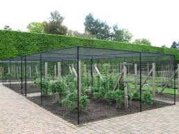 New users enjoy 60% off. Royal Botanic Garden Edinburgh Harrod Horticultural