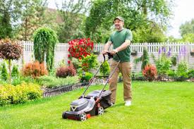 Month-by-Month Lawn Care Guide for the Carolinas - Carolina Fresh Farms