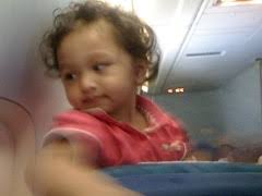 Five Card Story: The lion attack