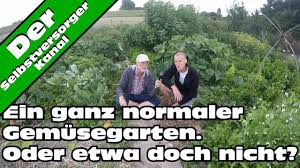 Alles Uber Ouessantschafe Youtube