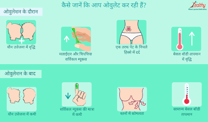 ओवुलेशन के मुख्य शारीरिक लक्षण, AI generated