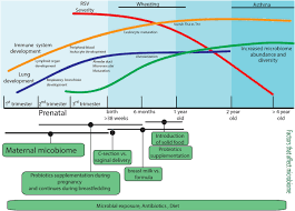 Respiratory viruses may evolve quite rapidly in the field. Frontiers Factors Affecting The Immunity To Respiratory Syncytial Virus From Epigenetics To Microbiome Immunology