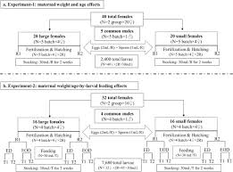 Maybe you would like to learn more about one of these? Influence Of Maternal Weight Age Larval Feeding And Their Interactions On The Hatchery Outcomes Of An Indian Major Carp Labeo Rohita Hamilton 1822 Sciencedirect