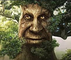 I'M New To The Witcher 3 Idk If I Did A Good Thing By Freeing The  Whispering Hillock : R/Witcher3