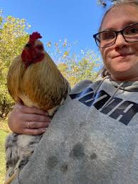 Rooster noise in neighborhood?