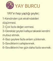 Aygul Adli Kullanicinin Yay Burcu Burclar Panosundaki Pin Burclar Yay Burcu Oglak Burcu
