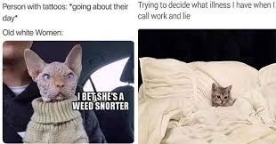 Saturday memes funny saturday memes1. 27 Caturday Memes To Enjoy While Relieving Yourself At The Litter Box Lolcats N Funny Pictures I Can Has Cheezburger Bloglovin