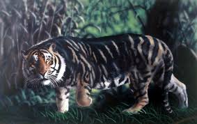Are Black Tigers Real The Black Tiger A Veritable Bete Noire Of Mystery Cats Melanistic Melanistic Animals Melanism