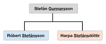 What is the first name, middle name, and last name? Icelandic Name Wikipedia