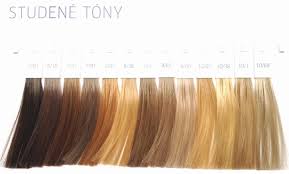 loreal inoa hair colour shades chart bedowntowndaytona com