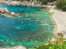 We did not find results for: Paradisul Chiar Exista Cele Mai Frumoase Insule Din Lume