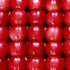 Red Apple Fruit Picture Red Apple Apple Fruit