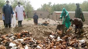 Bird flu viruses infect birds, including chickens, other poultry, and wild usually bird flu viruses only infect other birds. Nigeria Confirms H5n1 Bird Flu Outbreak Science In Depth Reporting On Science And Technology Dw 22 01 2015