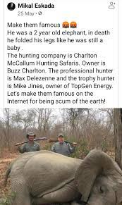 Charltonmccallumhuntingsafaris Twitter Search Twitter