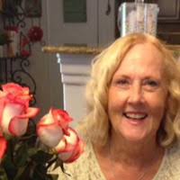 10+ "Theo Hogan" profiles