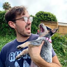 Wolf howls with little Leya! Love you, panda girl! 🐼💕🐺 * * *  #heelerpuppy #australiancattledog #blueheeler #redheeler #puppies #acd  #aussiecattledog #heelersofinstagram #queenslandheeler #aussiecattlepup  #oc_heelers #puppylife #cattledog #acdpuppy ...