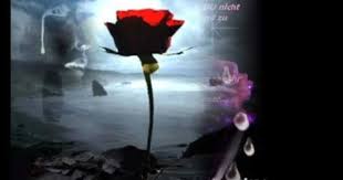 Ozcan Deniz Gulum Songs Youtube Album