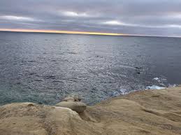 Shell Beach Tide Pools La Jolla 2019 All You Need To