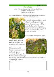 Edible Plant Collection The Tortoise Table Tortoise Table Plant Collection Edible Plants