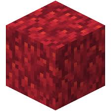 It is found in warm ocean biomes. Coral Block Official Minecraft Wiki