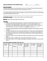 I have called this principle, by which each slight variation, if useful, is preserved, by the term natural selection. Natural Selection Survival Of The Fittest Worksheet