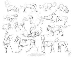 Gesture Drawing Animals Day 05 Gesture Drawing Epic Drawings Life Drawing Reference