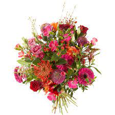 Vorstelijk Boeket Bloemen Bezorgen In Den Haag Alpina Boeket Bloemen Bloemen Bezorgen Bloemen