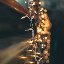 We did not find results for: Outdoor Christmas Decorations Target