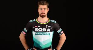 Arguably the greatest rider in the modern peloton, sagan could. Peter Sagan Cyclingquotes Com