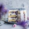 Heidelbeerkuchen die besten rezepte zum schlemmen. 1