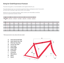 Cinelli Experience Tiagra Road Bike