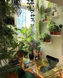 24 Creative Diy Indoor Garden Ideas Room With Plants House Plants Decor Small Indoor Plants