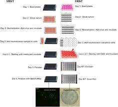 Image result for Neutralization Test