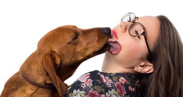 Cho cún yêu liếm mặt, nên hay chớ?