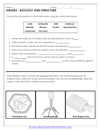 Add to my workbooks (6) download file pdf embed in my website or blog add to google classroom Pin On Multiple