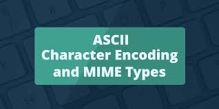 Ascii Encoding Beginners Newbies Weve Got All Of The