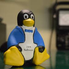 Image result for linux penguin