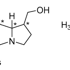 Image result for Crotalaria argyrolobioides