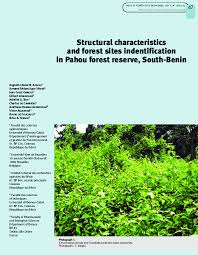 Image result for Triumfetta angolensis