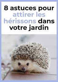 8 Astuces Pour Attirer Les Herissons Dans Votre Jardin Jardins Astuce Jardin Jardinage Potager