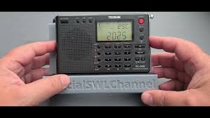 Image result for Tecsun PL747