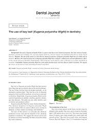 Daun salam sebagai antidiabetes pdf. Pdf The Use Of Bay Leaf Eugenia Polyantha Wight In Dentistry