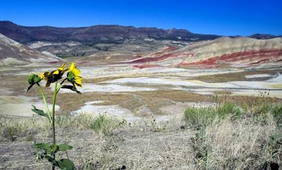 The Painted Hills, Oregon - AllTrips
