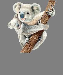 More images for mother and baby animals » Mother And Baby Animals Watercolor Koala Mom And Koala Baby Koalas Digital Art By Stacy Mccafferty