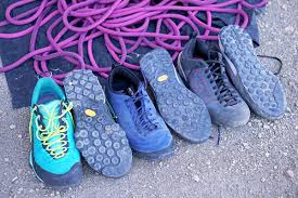 The cactus spines resemble needles and are an absolute necessity for the plant's survival, but what to do after an injury? How To Choose Approach Shoes Switchback Travel